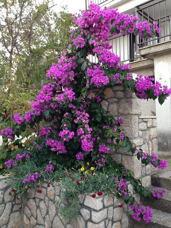 *** Guest house Guesthouse Maver Croatia